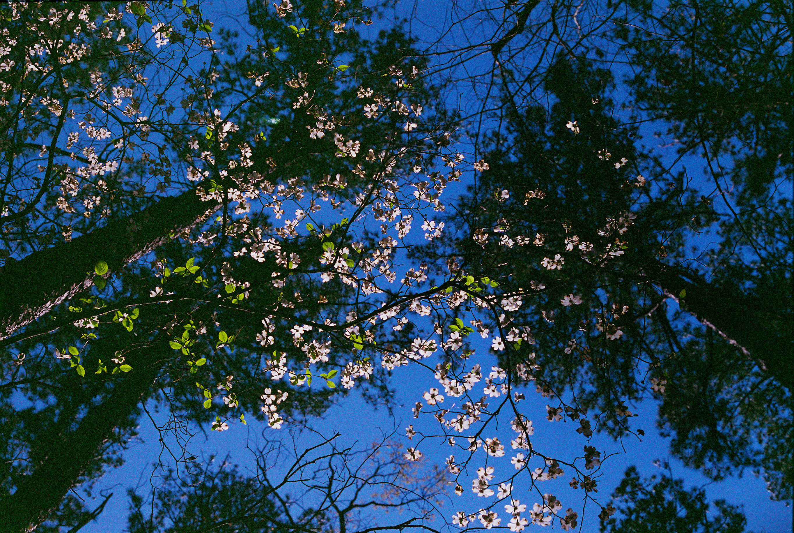 Up