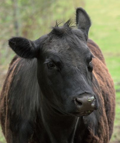 How Your Email Finds Me